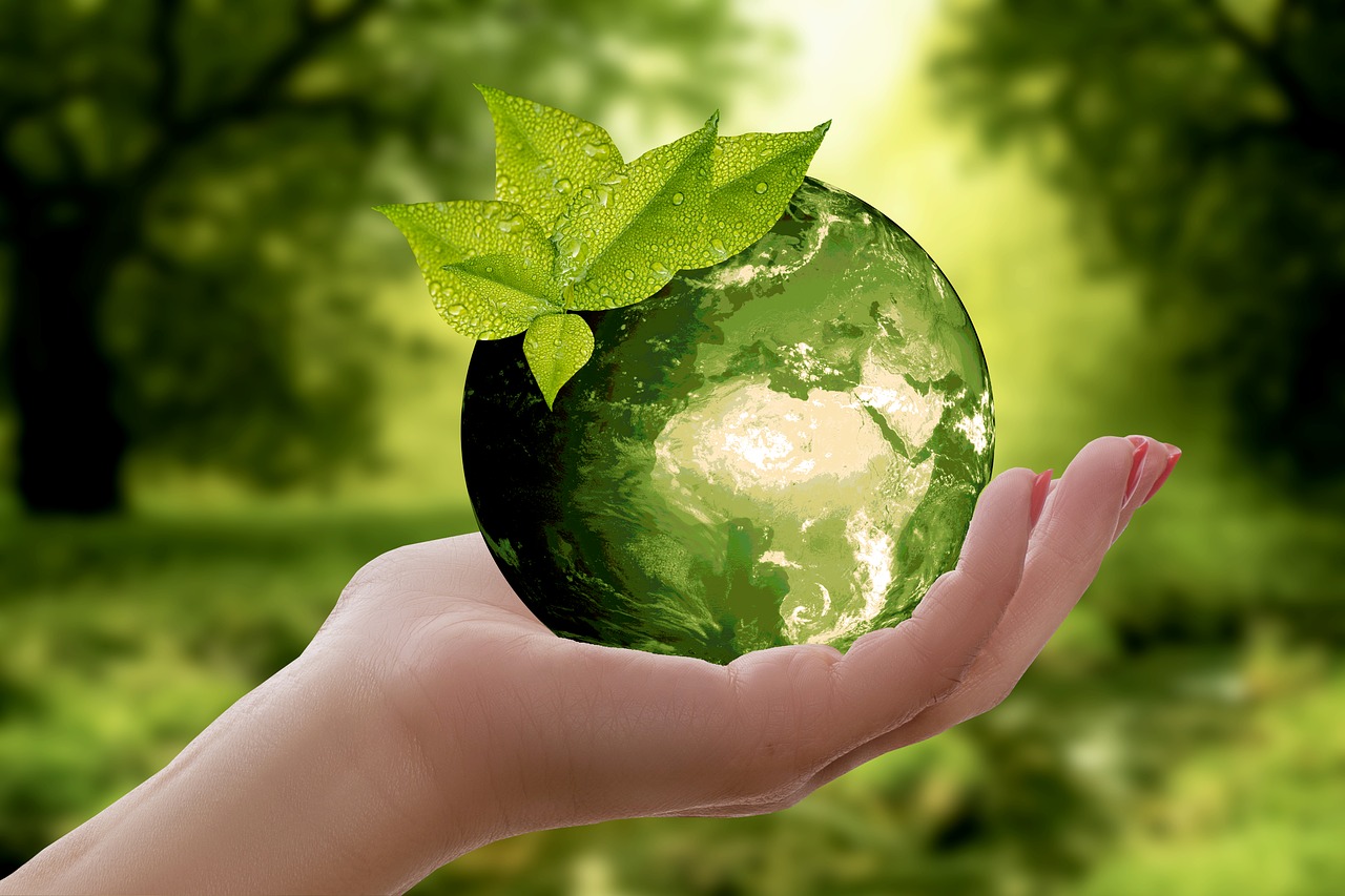 6 consejos para hacer un buen reciclaje